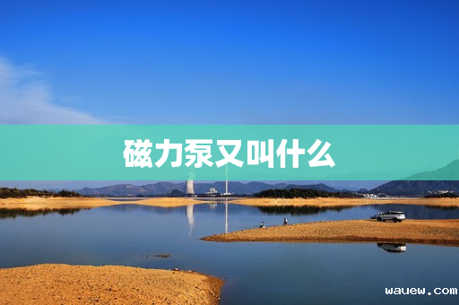 磁力泵又叫什么