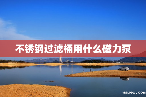 不锈钢过滤桶用什么磁力泵