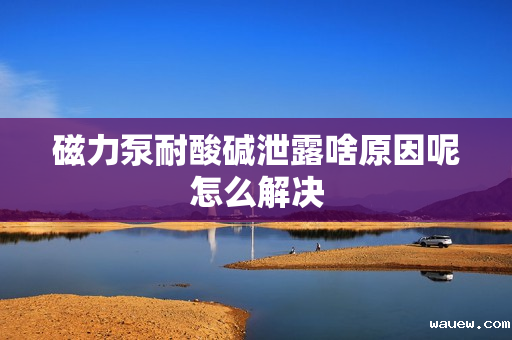 磁力泵耐酸碱泄露啥原因呢怎么解决