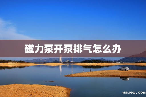 磁力泵开泵排气怎么办