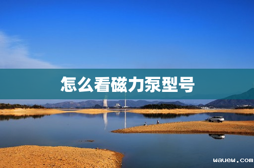 怎么看磁力泵型号