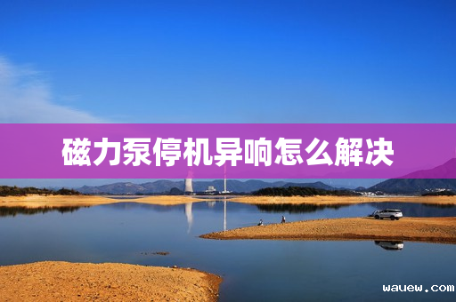 磁力泵停机异响怎么解决