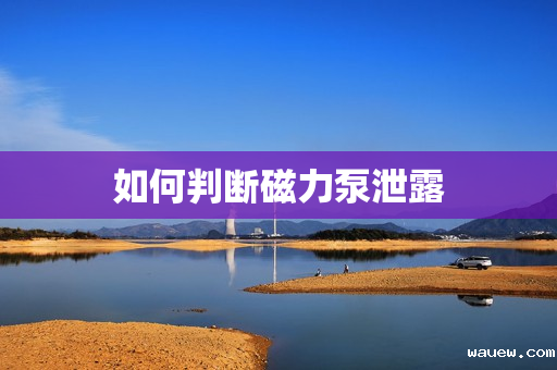 如何判断磁力泵泄露