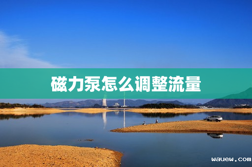 磁力泵怎么调整流量