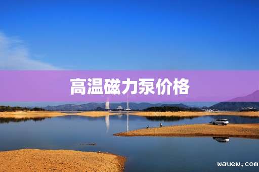 高温磁力泵价格