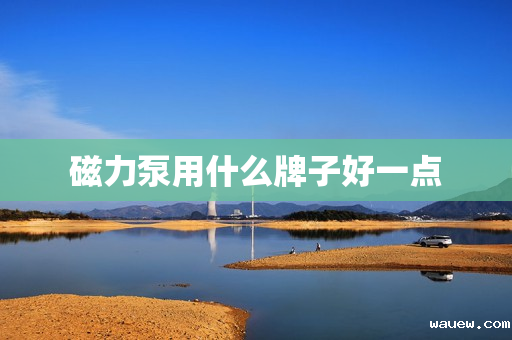 磁力泵用什么牌子好一点