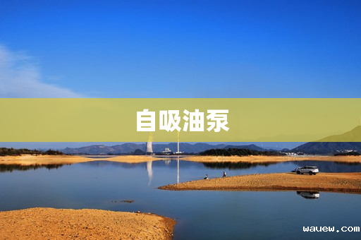 自吸油泵