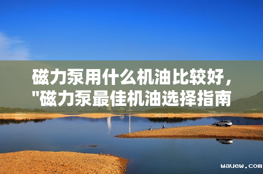 磁力泵用什么机油比较好，