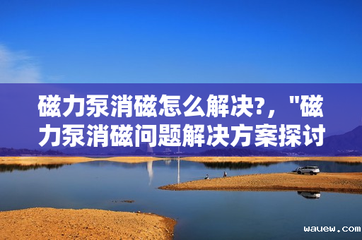 磁力泵消磁怎么解决?，