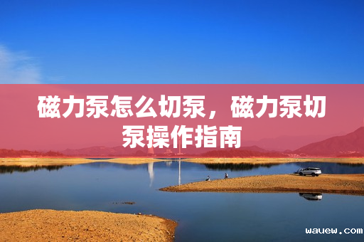 磁力泵怎么切泵，磁力泵切泵操作指南