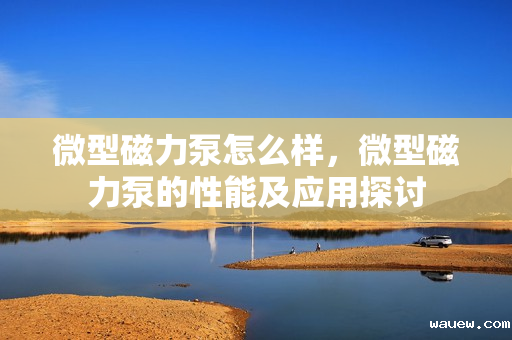 微型磁力泵怎么样，微型磁力泵的性能及应用探讨