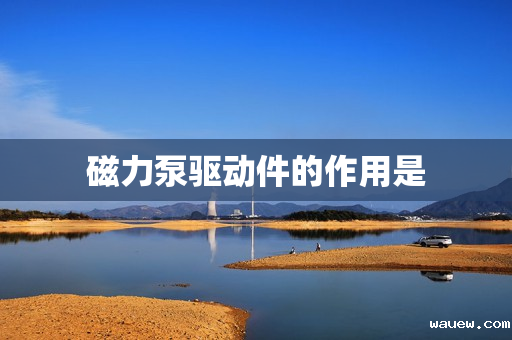 磁力泵驱动件的作用是