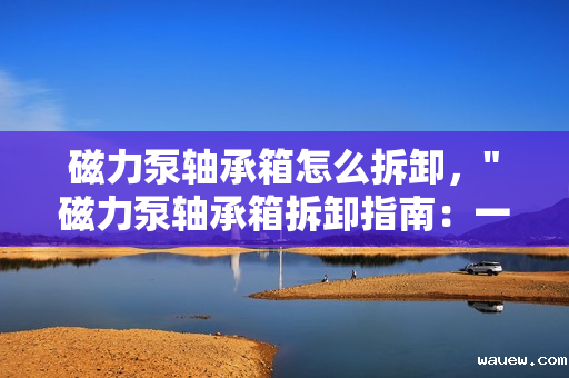 磁力泵轴承箱怎么拆卸，