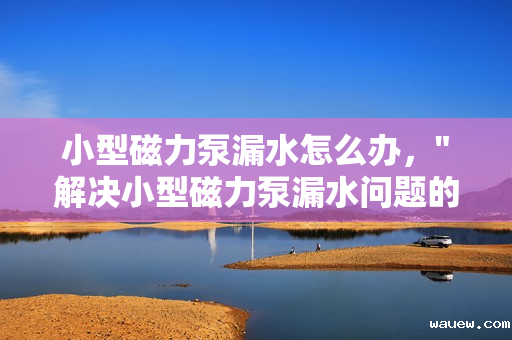 小型磁力泵漏水怎么办，