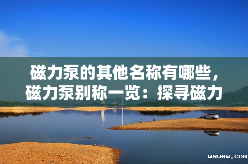 磁力泵的其他名称有哪些，磁力泵别称一览：探寻磁力泵的其他命名方式