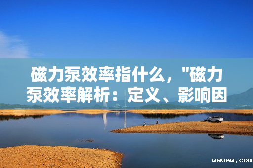 磁力泵效率指什么，