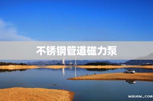 不锈钢管道磁力泵