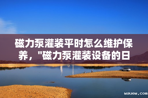 磁力泵灌装平时怎么维护保养，