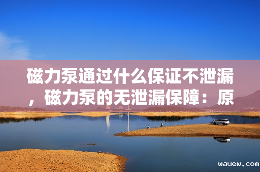 磁力泵通过什么保证不泄漏，磁力泵的无泄漏保障：原理、技术与应用