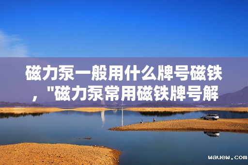 磁力泵一般用什么牌号磁铁，