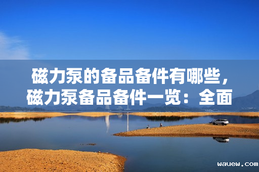 磁力泵的备品备件有哪些，磁力泵备品备件一览：全面解析关键组件及易损件