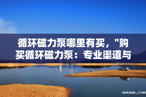 循环磁力泵哪里有买，