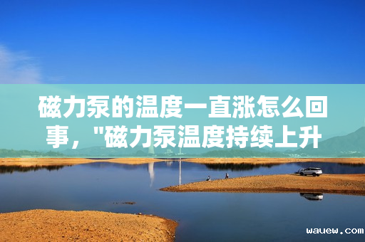 磁力泵的温度一直涨怎么回事，