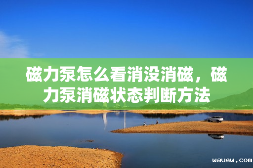 磁力泵怎么看消没消磁，磁力泵消磁状态判断方法