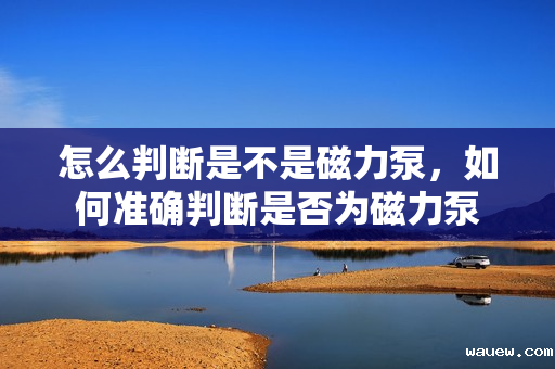 怎么判断是不是磁力泵，如何准确判断是否为磁力泵