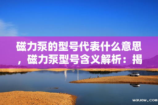磁力泵的型号代表什么意思，磁力泵型号含义解析：揭秘磁力泵型号背后的信息