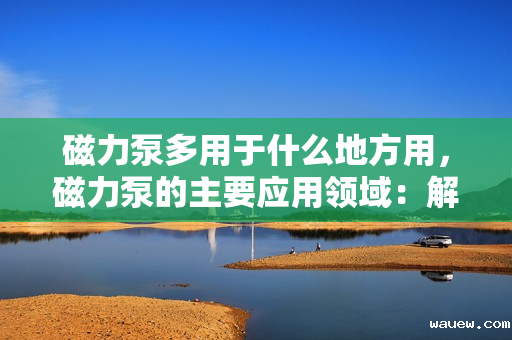 磁力泵多用于什么地方用，磁力泵的主要应用领域：解析其多功能性与适应性