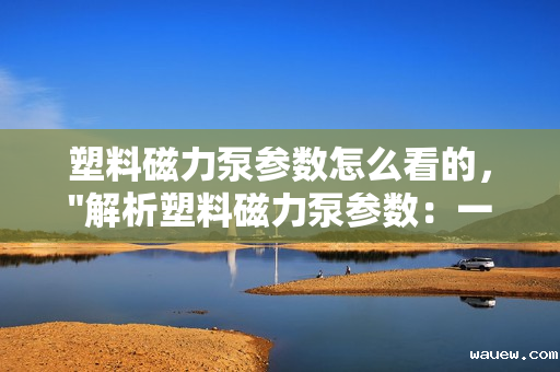 塑料磁力泵参数怎么看的，