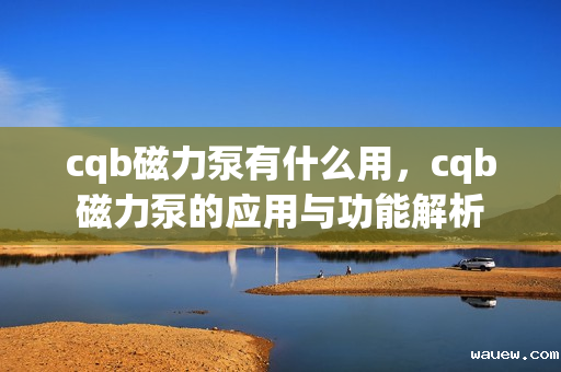 cqb磁力泵有什么用，cqb磁力泵的应用与功能解析