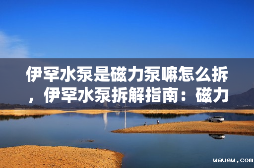 伊罕水泵是磁力泵嘛怎么拆，伊罕水泵拆解指南：磁力泵特性与拆卸步骤详解