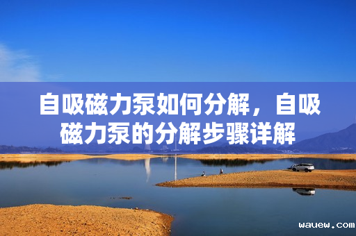 自吸磁力泵如何分解，自吸磁力泵的分解步骤详解