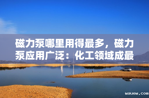 磁力泵哪里用得最多，磁力泵应用广泛：化工领域成最大用户