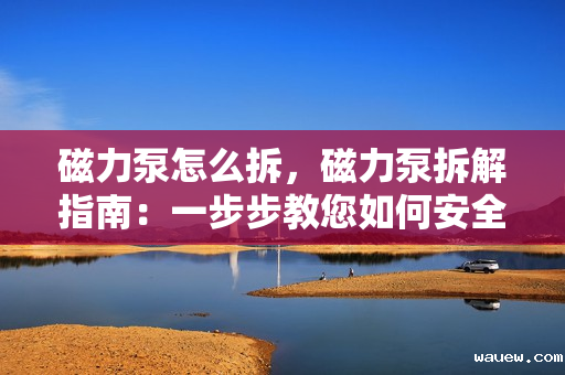 磁力泵怎么拆，磁力泵拆解指南：一步步教您如何安全有效地拆卸磁力泵