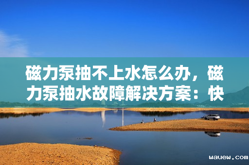 磁力泵抽不上水怎么办，磁力泵抽水故障解决方案：快速排查与修复指南