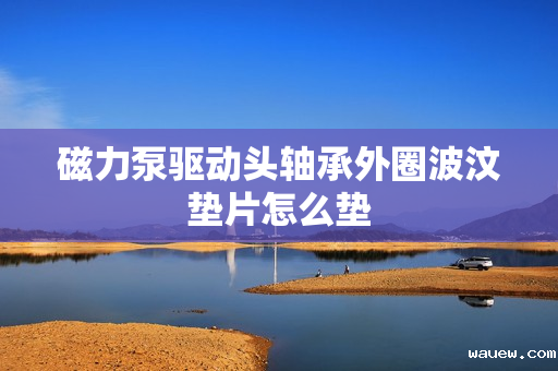 磁力泵驱动头轴承外圈波汶垫片怎么垫