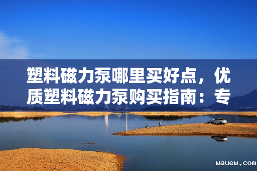 塑料磁力泵哪里买好点，优质塑料磁力泵购买指南：专业渠道推荐与选购建议