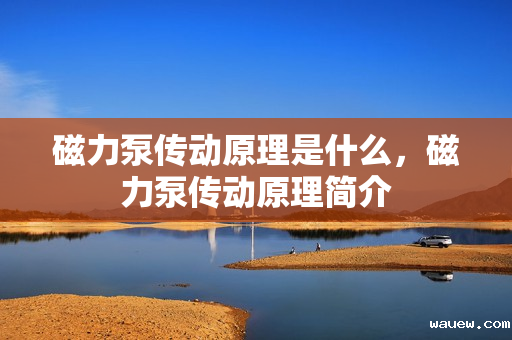 磁力泵传动原理是什么，磁力泵传动原理简介