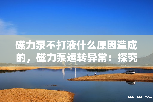 磁力泵不打液什么原因造成的，磁力泵运转异常：探究不打液的原因及解决方案