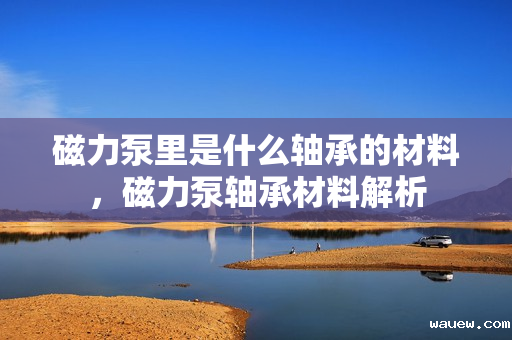 磁力泵里是什么轴承的材料，磁力泵轴承材料解析