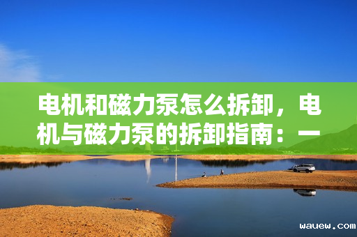 电机和磁力泵怎么拆卸，电机与磁力泵的拆卸指南：一步步教你如何安全有效地进行操作