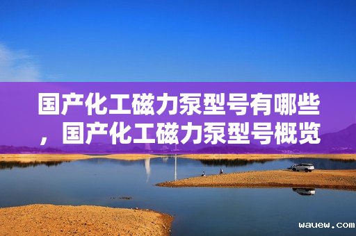 国产化工磁力泵型号有哪些，国产化工磁力泵型号概览：一览众多磁力泵型号及其应用