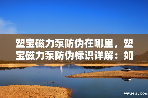 塑宝磁力泵防伪在哪里，塑宝磁力泵防伪标识详解：如何确保购买正品