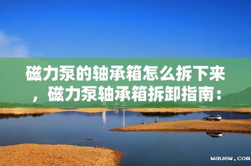 磁力泵的轴承箱怎么拆下来，磁力泵轴承箱拆卸指南：简易步骤与操作要点