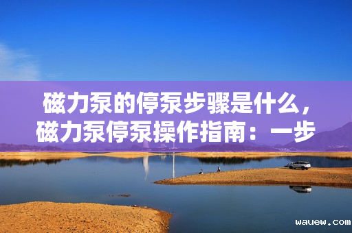 磁力泵的停泵步骤是什么，磁力泵停泵操作指南：一步步带您正确停机