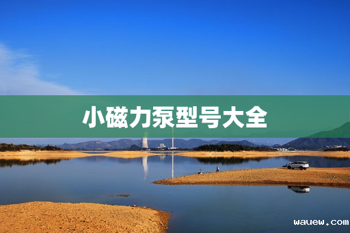小磁力泵型号大全