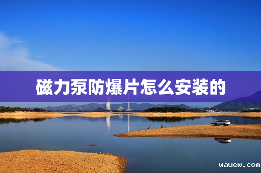 磁力泵防爆片怎么安装的